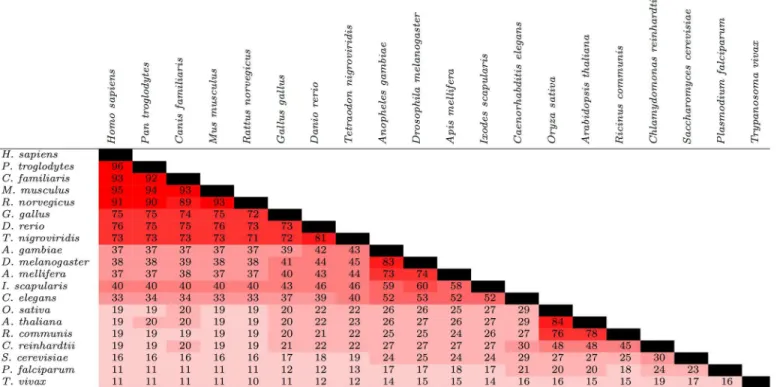 Fig 3. Conservation of proteins among 20 species from a diverse range of lineages. For a given pair of species, the values represent the percentage of proteins found in at least one of the two species that were found in both species