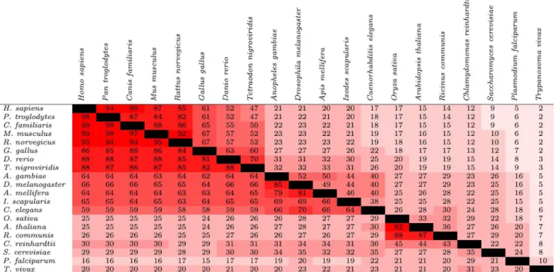 Figs 1 and 2 show that the relative degree of phosphorylation site conservation among the different species was consistent with their known evolutionary relationships