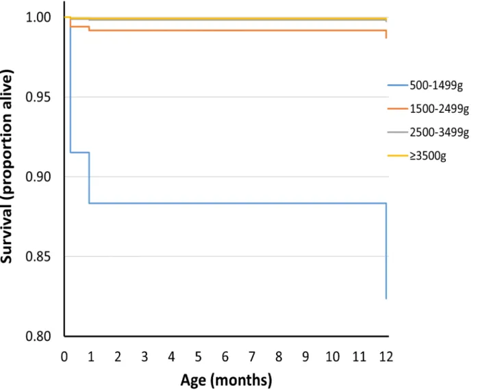 Fig 3 shows grouped causes of infant death for each birthweight group, with the 2,500 g groups combined