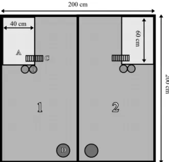 Figure 1. Experimental areas: 1 and 2 – separate boxes for female and male rats; A – two-level shelf; B – water dispensers;