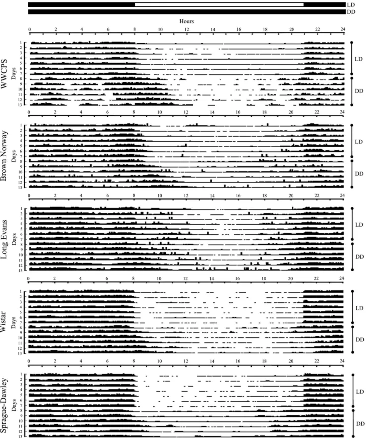 Figure 4. Actogram plots of outside-nest activity rhythm of different strains of rats analysed with 5-min resolution for 13 consecutive days