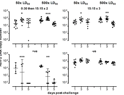 Figure 6. HSV-2 DNA copy number in swabs from mice immunized with NTC8485-based vaccines taken after challenge