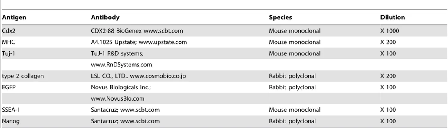 Table 1. Antibodies for immunostaining.