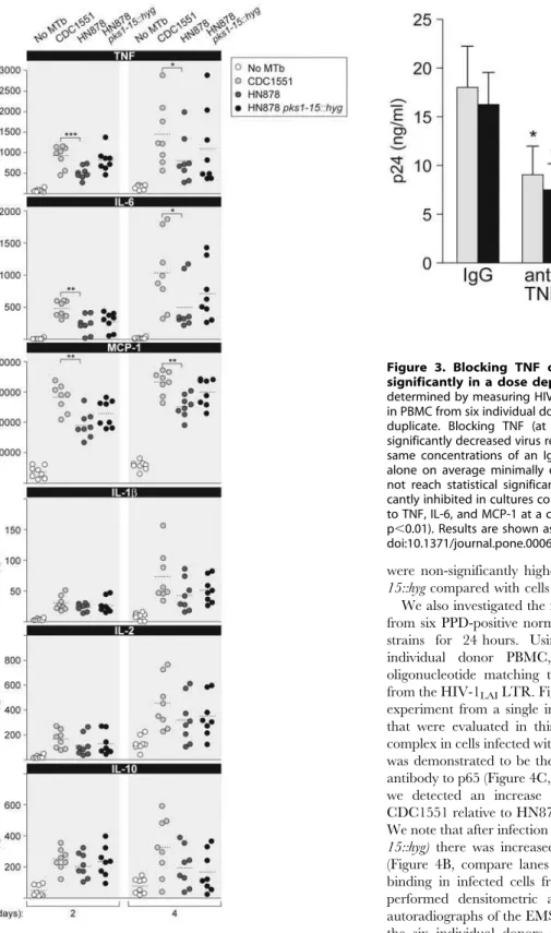 Figure 2. CDC1551 and HN878 infection differentially regulate TNF, IL-6 and MCP-1 in human PBMC