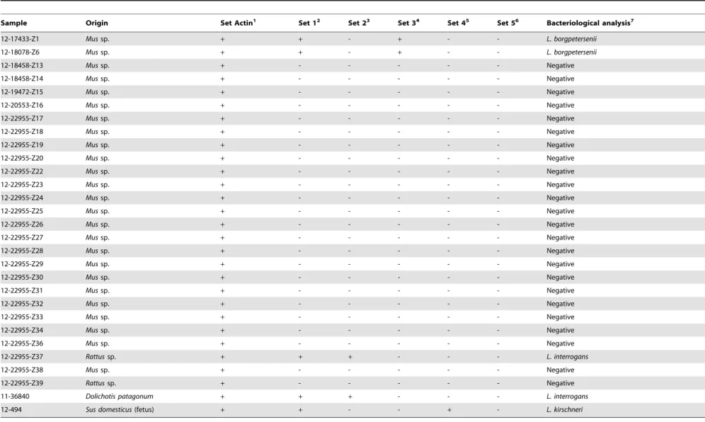 Table 2. Results of the bacteriological culture and of the real time amplification assays for the tissue samples analyzed in the present study.