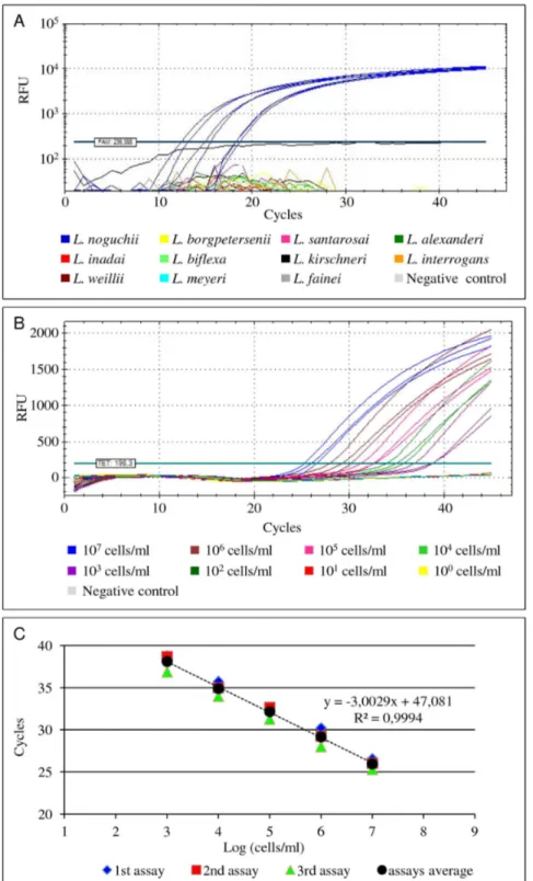 Figure 1. Illustration of the real-time PCR amplification curves obtained during the optimization of the assays