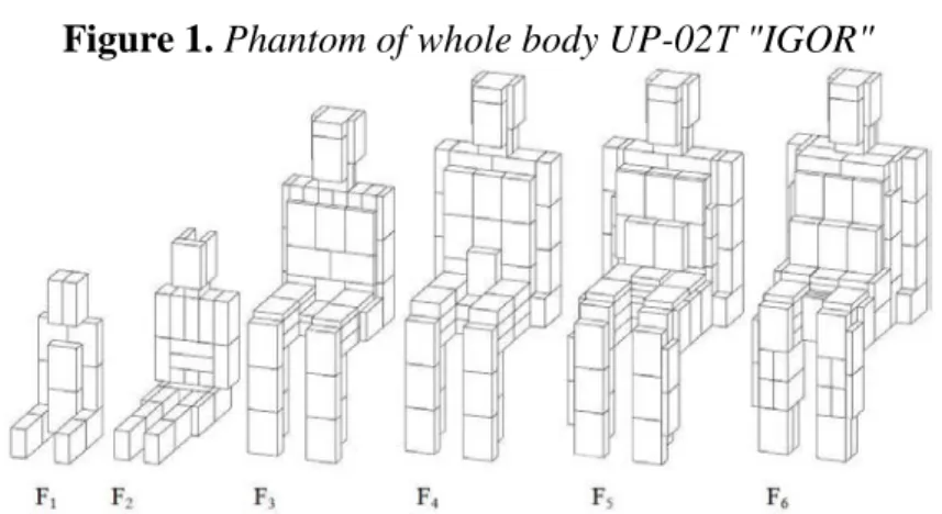 Figure 1. Phantom of whole body UP-02 Т "IGOR" 