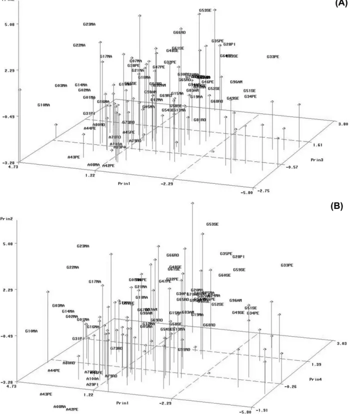 Figure 1. Dispersion diagram based on the principal components prin1, prin2 and prin3 (A) and prin1, prin2 and prin4 (B) of 69 accessions of the Psidium, analyzed for 16 biochemical and agronomic traits.