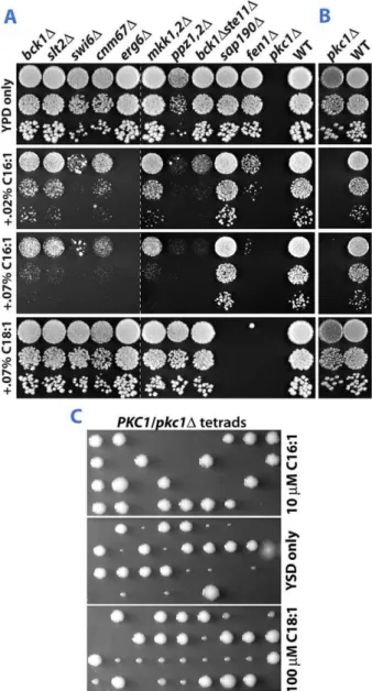 Figure 3 shows the effects of C16:1 and C18:1 on growth of several strains identified in the screen