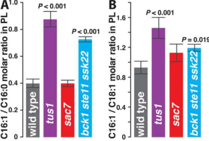 Figure 5. Acyl chain content of PL is influenced by signaling proteins. Total PL from each of four strains was purified in multiple experiments and acyl chain content quantified (Table S2 contains the complete data set)