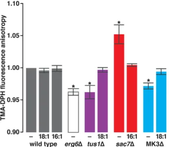 Figure 6 also portrays the measurements of anisotropy of PM- PM-bound TMA-DPH fluorescence in cells deficient in Rho1 signaling
