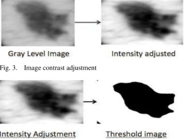 Fig. 3. Image contrast adjustment 