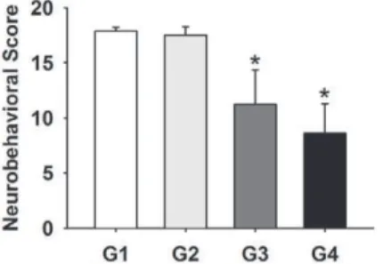 Figure 3. Bar graphs display the neurobehavioral scores of G1, G2, G3 and G4 groups at day 3 after operation