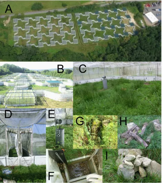 Fig 1. The Metatron. A: Aerial view of the structure. On the right, top shutters are closed on 17 enclosures.