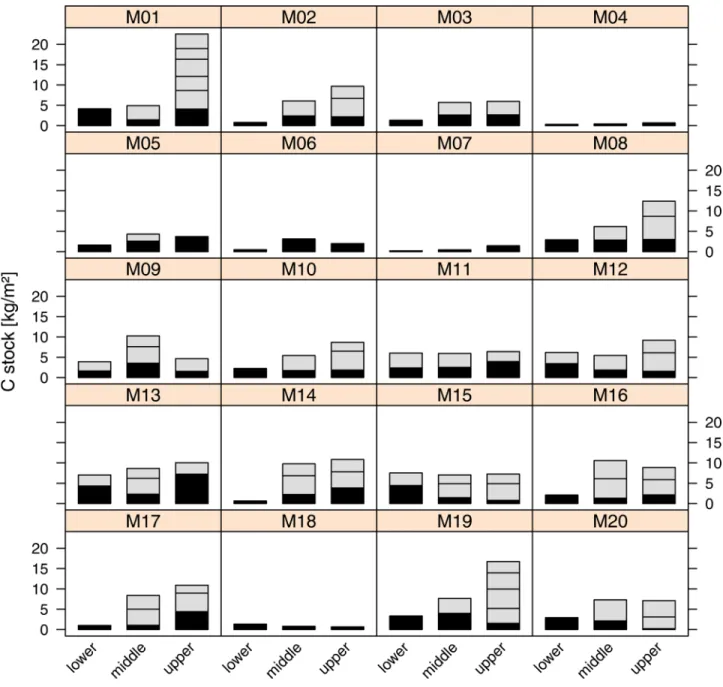 Fig 2. Carbon stocks of the organic layer in each of the sampled profiles at the upper,middle and lower part of the transects M1 to M20