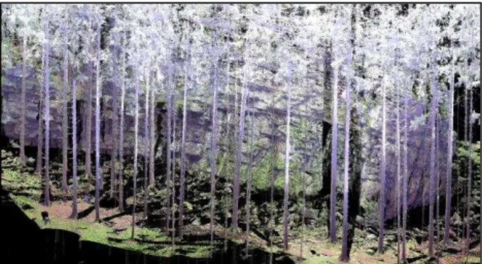 Figure 2. A preview from the source point clouds. 