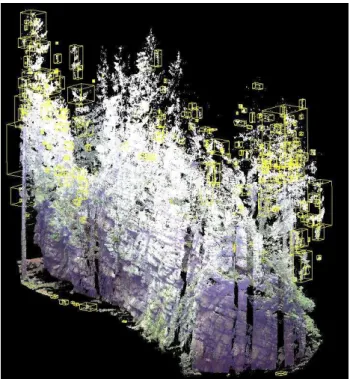 Figure 6. Selection of clusters of points belonging to a separate  part  of  the  branches  and  treetops  executed  in  the  program  CloudCompare ver