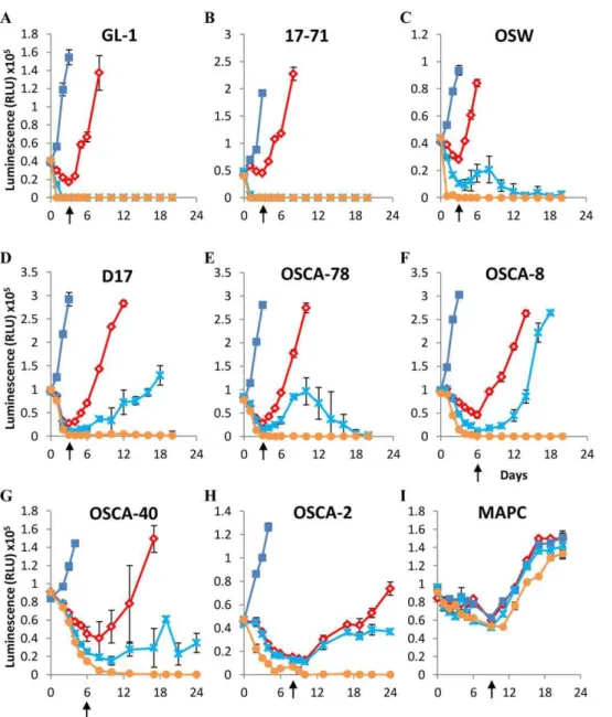 Figure 3. Arginase supplementation can prevent recovery of canine lymphoid cells and osteosarcomas subjected to arginine- arginine-deprivation