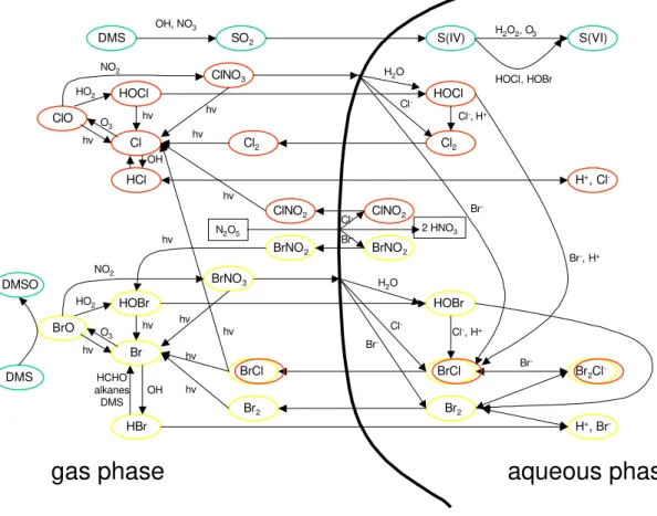Fig. 5. Schematic diagram of the major halogen-related reactions in the gas and aqueous phase
