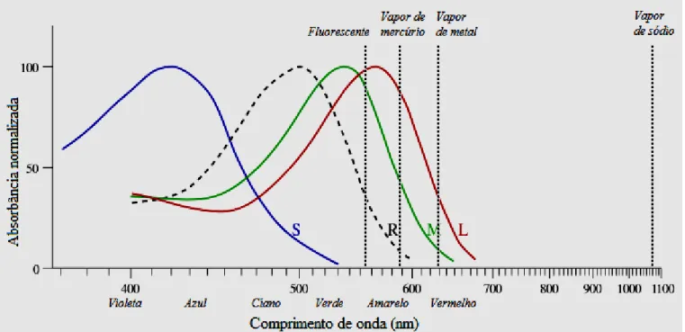 Figura 3. Pico de emissão luminosa para os diferentes tipos de lâmpadas medidas, e sua comparação  com as curvas de sensibilidade dos fotorreceptores do olho humano