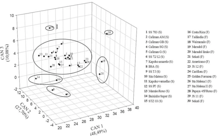Figura 3. Dispersão gráfica dos genótipos de mamoeiro em relação aos eixos representativos das variáveis canônicas (VC1, VC2 e VC3) relativos a oito variáveis estudadas em mamão Carica papaya com base nas características de qualidade de sementes de mamão
