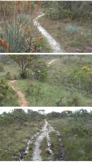 Figura 2. Trilhas de acesso ao setor de escalada “Ave  Maria”. Nesta figura a trilha encontra-se com  abertura de sulcos devido ao trafego de motos e  bicicletas