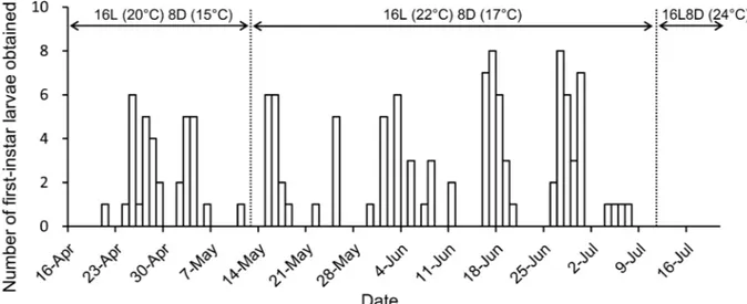 Fig 2. Numbers of first-instar larvae obtained from eggs laid by a female in 2014. Most larvae were obtained within 24 h of hatching.