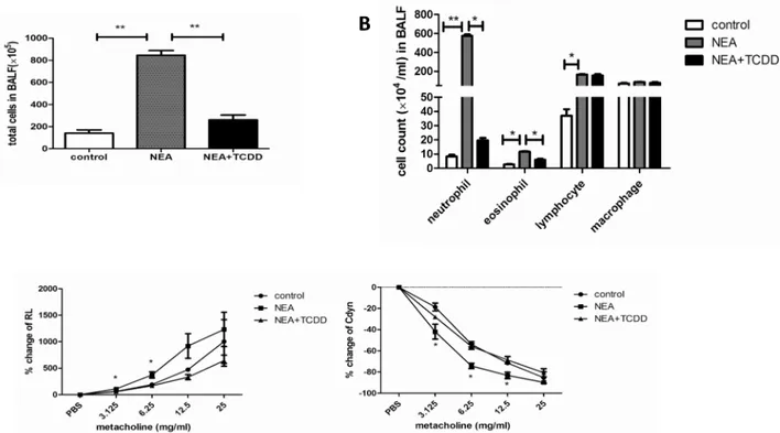 Fig 3. TCDD-induced AhR activation reduced non-eosinophilic airway inflammation and airway hyperresponsiveness