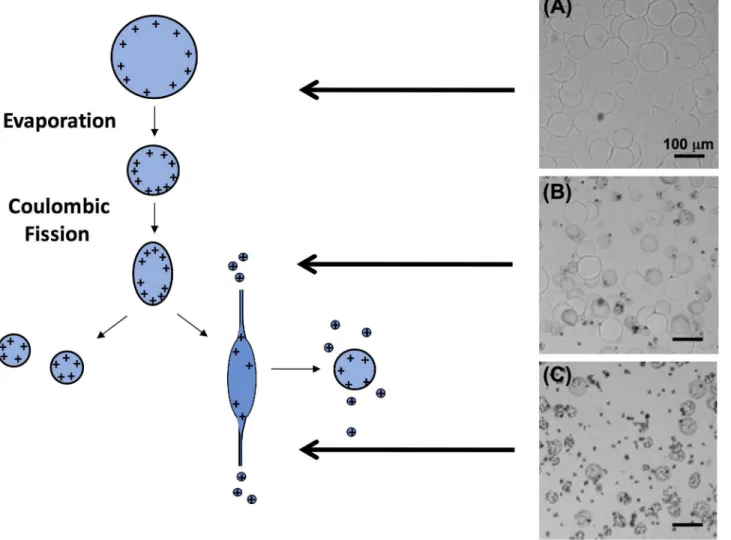 Fig 4. Breakup of electrosprayed droplets due to Coulombic fission. Schematic (left) and optical microscopy (right) images of deposited droplets collected from electrspraying mist at different tip-to-collector distance of (A) 3 cm, (B) 6 cm and (C) 9 cm, u