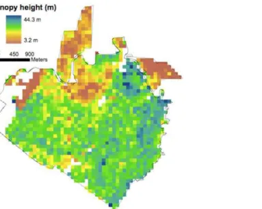 Fig 2. LVIS mean CTH 1998 at 1 ha. [9,20].