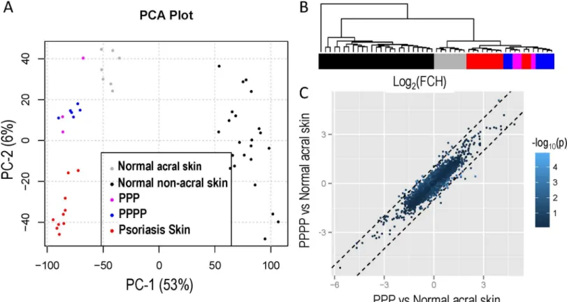 Fig 1. (A) Principal component analysis comparing gene expression from PPPP, PPP normal acral skin, normal non-acral skin and non-acral psoriasis vulgaris; PPP and cluster together PPPP