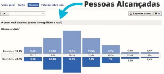 Gráfico 2. Aspectos demográficos das pessoas que visualizaram a página “Eu curto os  Caldeirões”: faixa etária 