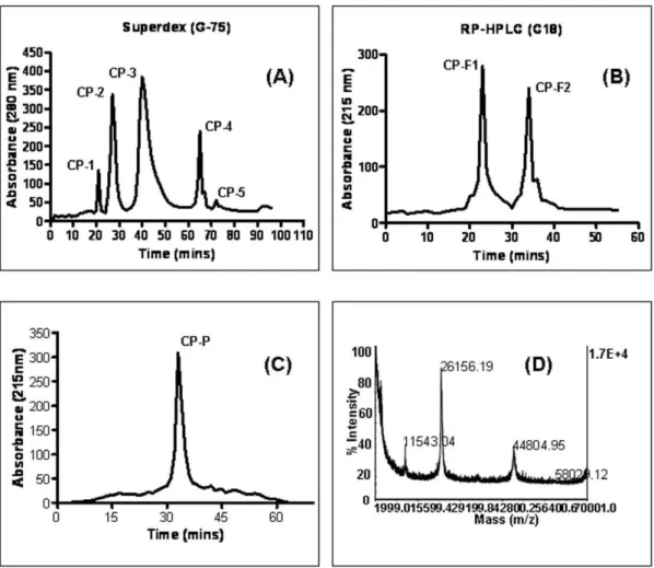 Figure 1. Purification and characterization of anticancer protein CP-P. (A) The clear supernatant of Calotropis procera root-bark was separated by gel-filtration (Superdex G-75) chromatography into five major peaks CP-1–CP-5, (B) the most active peak (CP-3