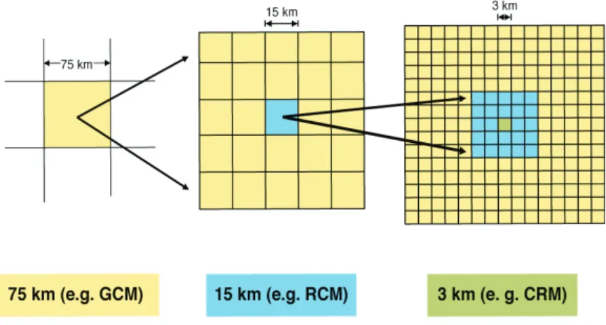 Fig. 1. Conceptual subdivision of a coarse grid cell from the 75-km grid into smaller grid points for the finer grids