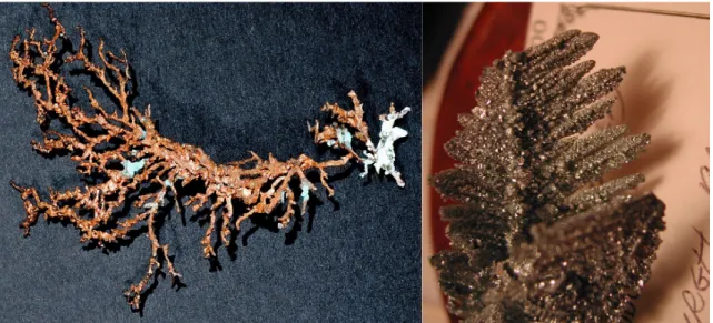 Figura 4. (a) Dendritos de cobre de White Pine, Michigan, EUA. Foto Julio Landmann. (b) Dendritos de zinco desenvol- desenvol-vidos em uma massa parcialmente derretida de zinco impuro
