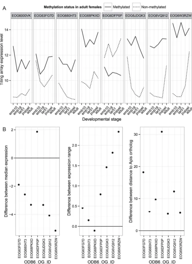 Figure 6. Paralog analysis. Differences between two paralogs that have changed in methylation status in the Nasonia lineage are shown