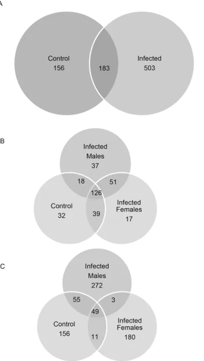 Fig 1. Panel A: Venn diagram summarizing the total urine proteomics data. A total of 842 proteins were identified by LC/MS-MS of the rat urines