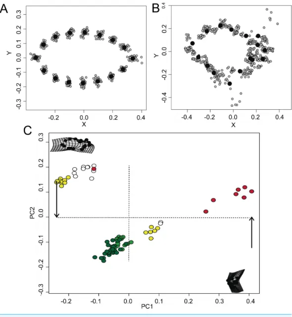 Figure 2 Morphometric relationships among mimetic fish and plant models. Diversity of shapes ob- ob-served for the models (i.e., floating plant debris) (A) and fish mimics (B), via a general Procrustes  analy-sis (GPA); and principal components analyanaly-