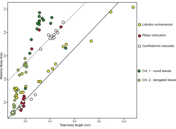 Figure 3 ANCOVA. Similar relative body area values were observed among the models (i.e., floating plant debris) and mimetic fish, where mimetic fish are represented by Lobotes surinamensis (yellow),  Can-thidermis maculata (white) and Platax orbicularis (r