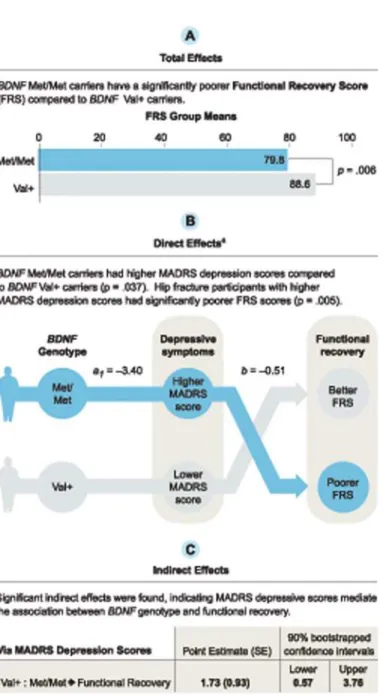 Fig 4. Mediation model using Hayes’ (2013) multicategorical independent variable method 