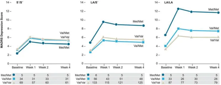 Fig 3. Predicted values for the interaction effect between brain-derived neurotrophic factor ( BDNF ) and serotonin transporter gene-linked polymorphic region, 5HTTLPR-rs25531 