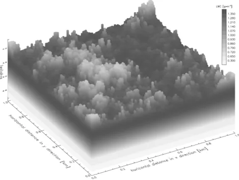 Fig. 2. LWC of the 3-D simulated cloud field.