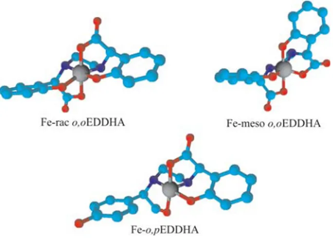 Figura 1: Estructura química de los isómeros geométricos racémico y meso del Fe-o,oEDDHA y del posicional Fe-o,pEDDHA