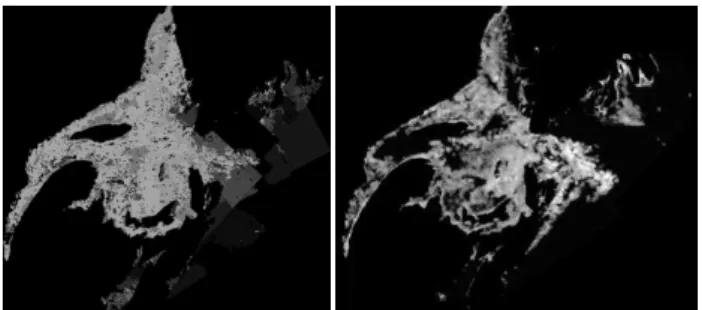 Fig. 8. The texture features used in the ice concentration estimation for 5 March 2009, presented as scaled gray-scale images, F e (left) and M g (right).