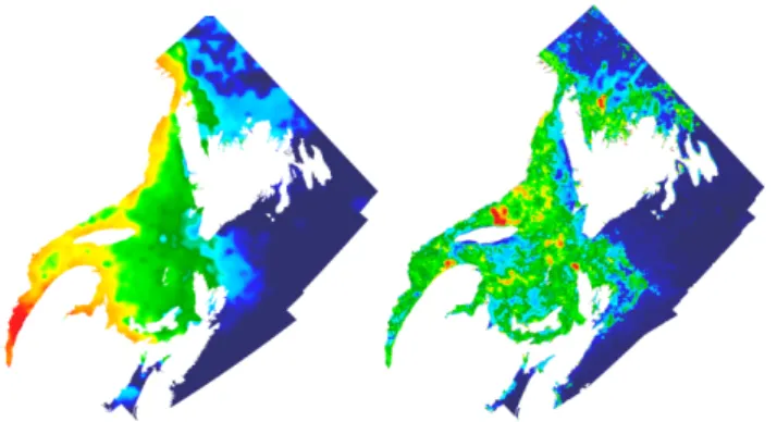 Fig. 10. An example of the ice thickness redistribution (5 March 2009, right panel) by matching the HIGHTSI ice thickness (shown in left panel) and the feature F 1 distributions