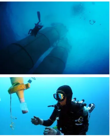 Figure 1. (a) Mesocosms ( ∼ 50 m 3 ) deployed in the framework of the VAHINE project. (b) Sed- Sed-iment traps screwed onto the base of the mesocosms and were sampled daily by SCUBA divers.