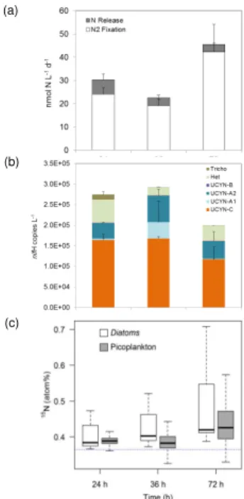 Figure 5. Results from the DDN transfer experiment performed from day 17 to 20 in M2.