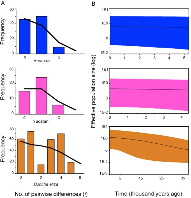Figure 3. Mistmatch distributions (A) and Bayesian skyline plots (B) showing historical demographic trends of Veracruz, the Yucatan and Doricha eliza populations using mitochondrial sequences