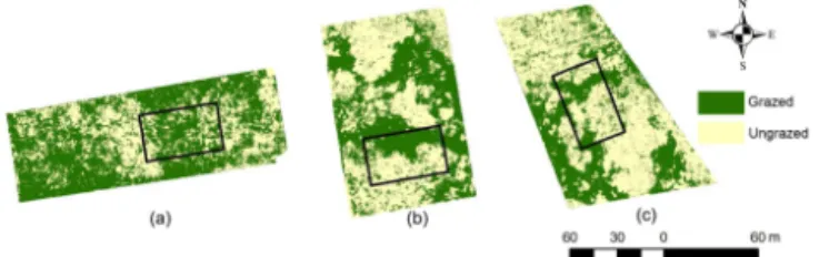 Figure 1. Images with digitally classified grazed and ungrazed ar- ar-eas in grassland paddocks of different stocking rate: (a) moderate, (b) lenient and (c) very lenient