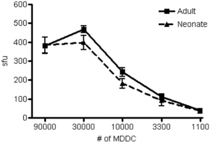 Figure 1. Equivalent peptide presentation of the HCMV pp65 nonamer NLVPMVATV by DC from adult and neonatal blood to HLA-A2- restricted clone CD8 + T cell clone D2-1-D2